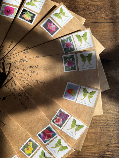 Mail Club